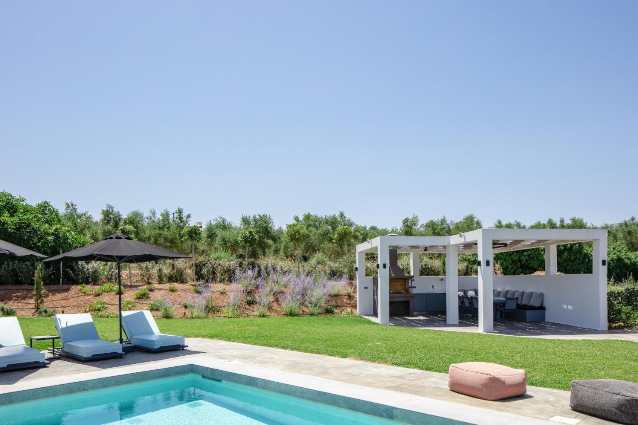 Physis - Metal & Wood Villa